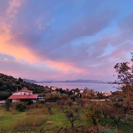 Néos PírgosΟλόκληρος Όροφος Αγροτική Οικίαアパートメント エクステリア 写真