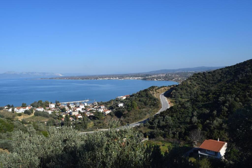 Néos PírgosΟλόκληρος Όροφος Αγροτική Οικίαアパートメント エクステリア 写真