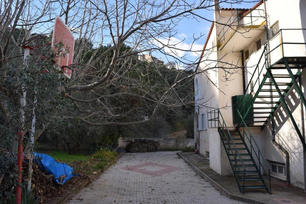 Néos PírgosΟλόκληρος Όροφος Αγροτική Οικίαアパートメント エクステリア 写真